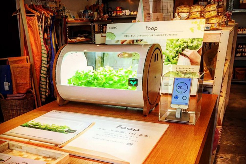 スマホと連携する野菜栽培器「foop」の予約注文が開始。お手入れや