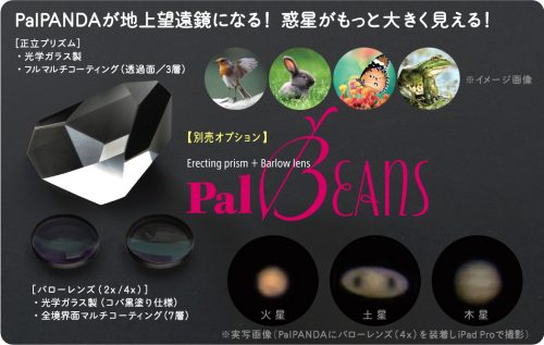 palbeans